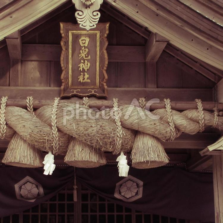 鳥取県-白兎神社-拝殿-近景 白兎神社,神社,拝殿の写真素材