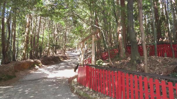 宇佐山城 城跡の風景 宇佐八幡宮 宇佐山城 城跡の風景 宇佐八幡宮の写真