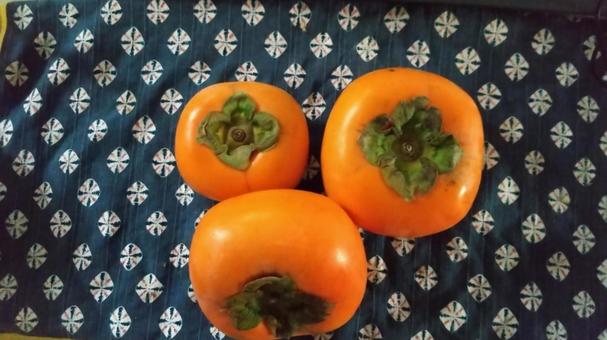 渋柿から渋をアルコールで抜いたおけさ柿 柿,実,秋の写真素材