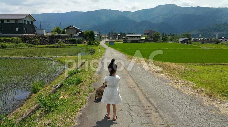 田園風景 旅,風景,何人もありませんの写真素材