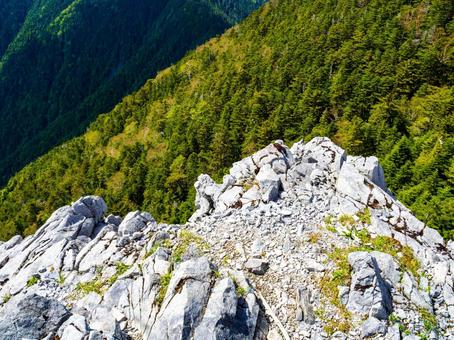 光岩(てかりいわ) 光岩(てかりいわ)の写真
