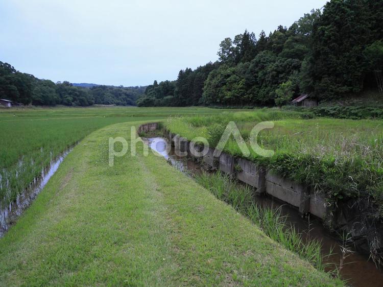 田園の景色 梅雨,自然風景,自然の写真素材