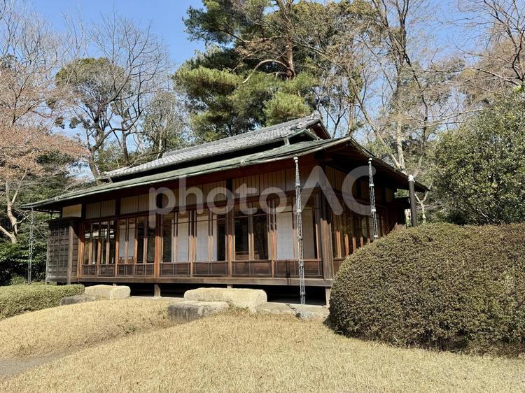 明治神宮　御苑　隔雲亭 数寄屋造り,松,森の写真素材