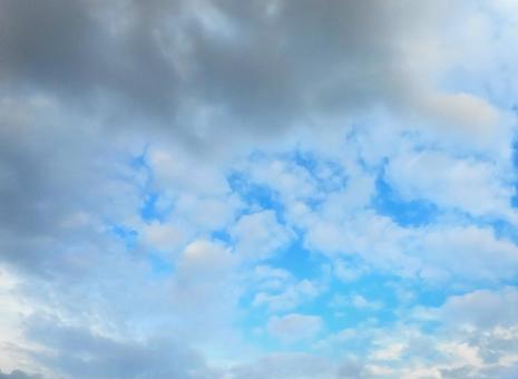 うろこ雲 うろこ雲の写真