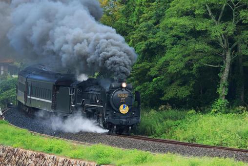 SLやまぐち号 D51 SLやまぐち号 D51 slやまぐち号,やまぐち号,蒸気機関車の写真素材