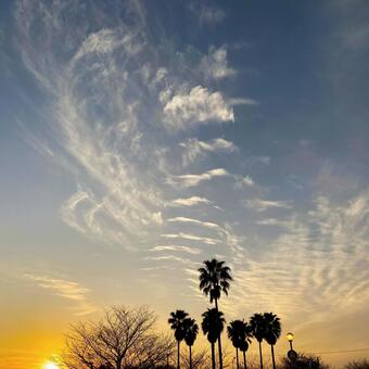 冬の夕暮れ 冬の夕暮れの写真