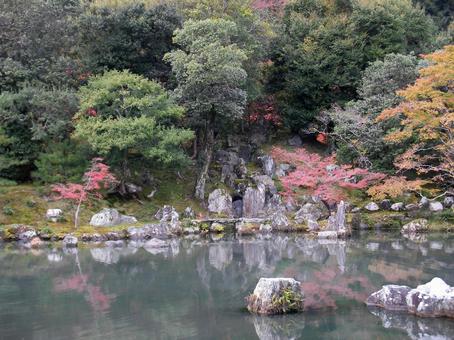 天龍寺 京都 天龍寺 京都の写真