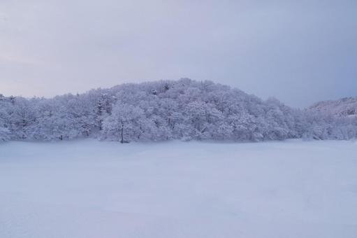 雪景色の朝 雪景色の朝 朝焼け,スペース,余白の写真素材