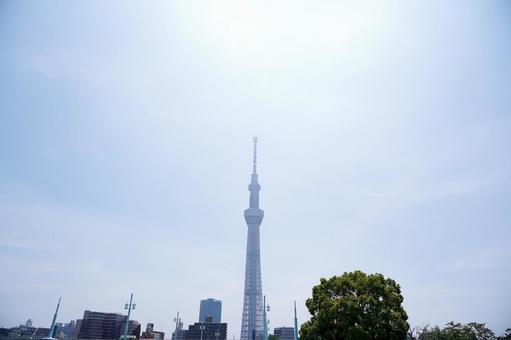 青空を背景にしたスカイツリー 青空を背景にしたスカイツリーの写真