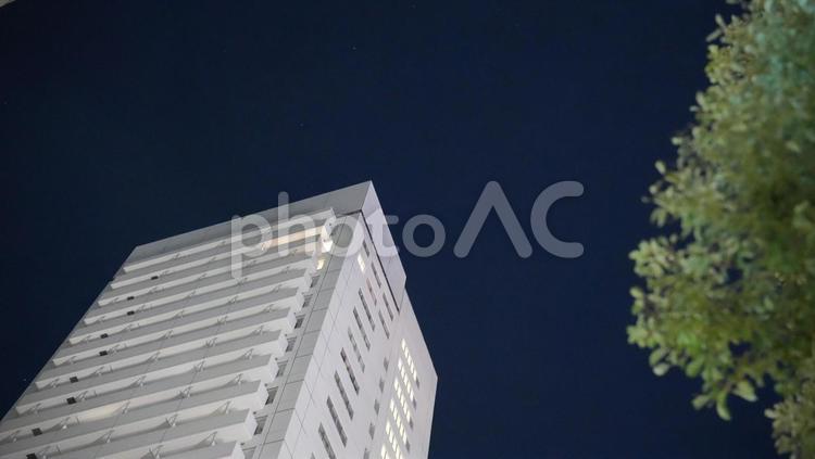 夜の建物と樹木 夜,ビル,ホテルの写真素材