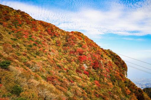雲仙　妙見岳の紅葉 妙見岳,山頂,紅葉の写真素材