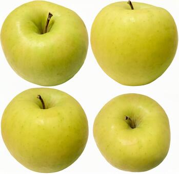 群馬名月の黄色いりんご 群馬名月,りんご,林檎の写真素材