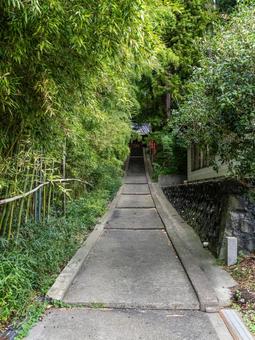 迫熊野神社⑵ 迫熊野神社⑵の写真