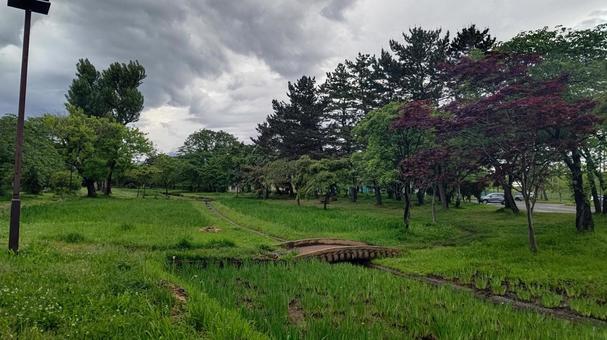 夏の公園 夏の公園 公園,風景,曇りの写真素材