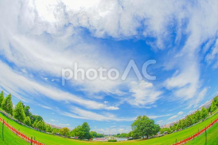 青空と緑の公園 空,雲,青の写真素材