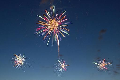25年長岡まつり 花火 25年長岡まつり 花火の写真