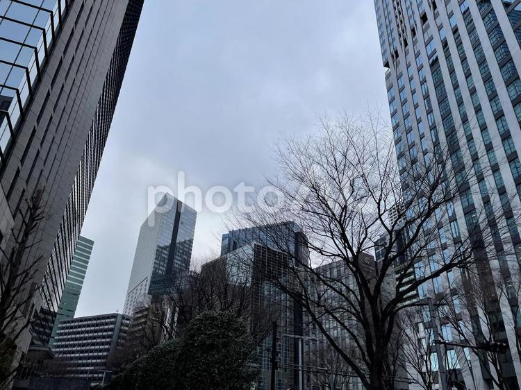 西新宿　風景 西新宿,風景,街並みの写真素材