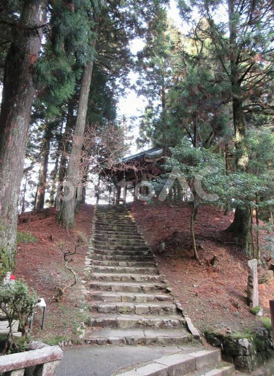 比叡山の石階段 石階段,比叡山,総本山の写真素材