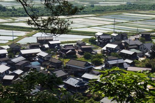 水田に囲まれた集落 水田,集落,農村の写真素材