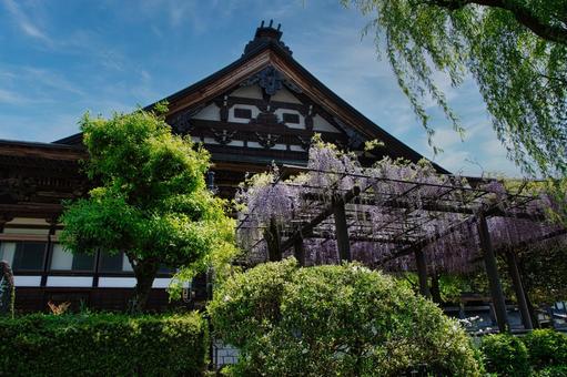 郡上八幡城の城下町 郡上八幡城の城下町の写真
