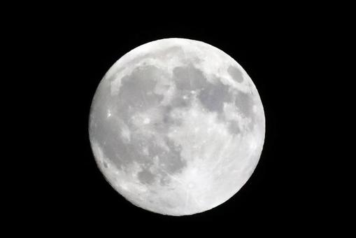 九月の月 月,秋,ムーンの写真素材