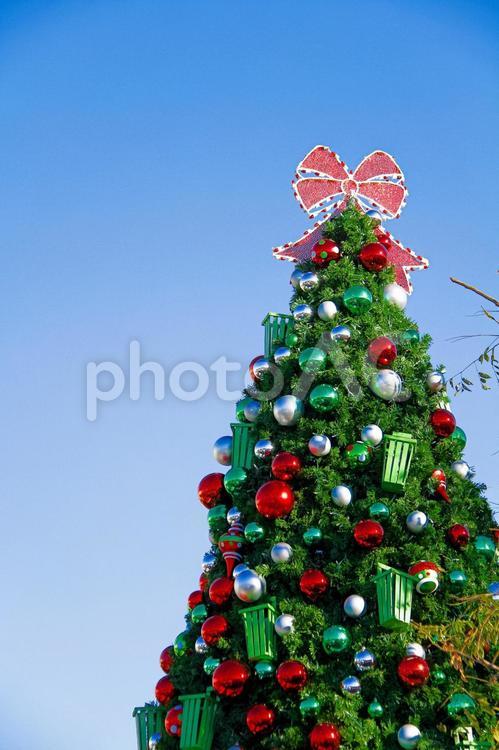 クリスマスツリーとオーナメントとカリフォルニアの青い空 おもちゃ,きらびやか,となかいの写真素材