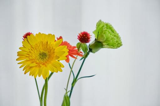 窓際の穏やかな光と綺麗な生花 背景,生花,花の写真素材