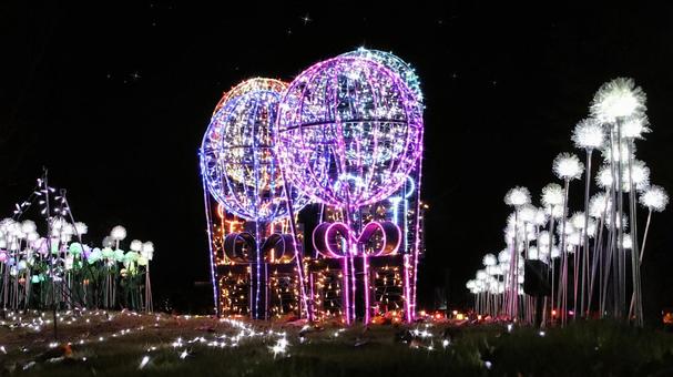 虹の郷　イルミネーション イルミネーション,クリスマス,夜景の写真素材