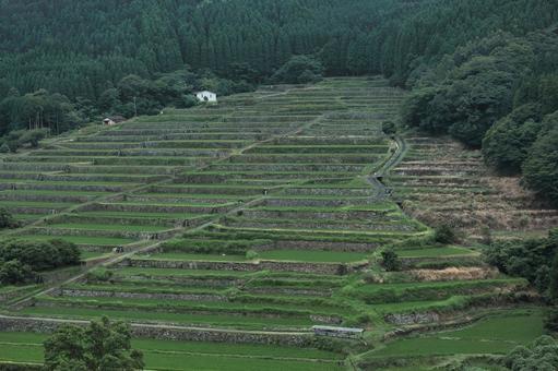 棚田 棚田 屋外,米作り,のどかの写真素材