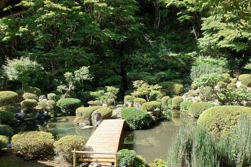 島根県-永明寺-禅庭 島根県-永明寺-禅庭 永明寺,寺,覚皇山の写真素材