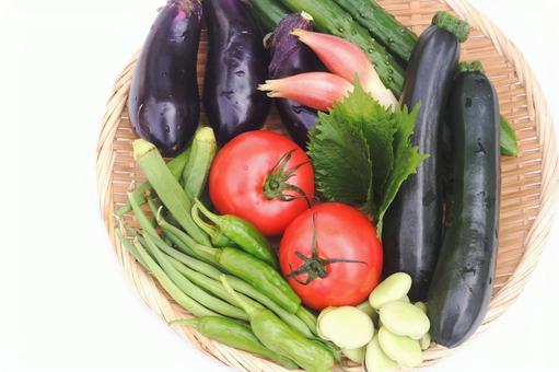 夏野菜 夏野菜 夏野菜,野菜,食材の写真素材