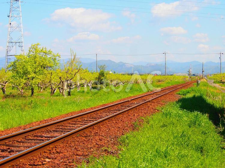 線路は続くよどこまでも お散歩,のどか,初夏の写真素材