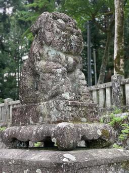 狛犬の写真