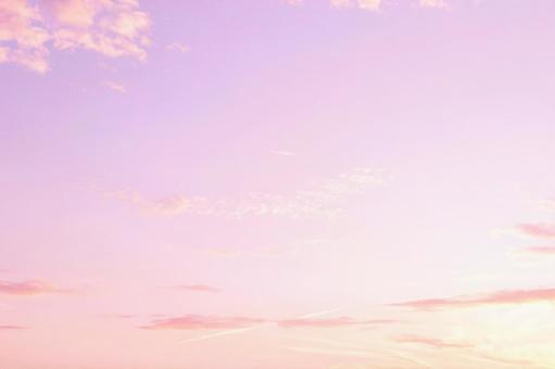 照片, 天空, 紫丁香, 天空背景, 