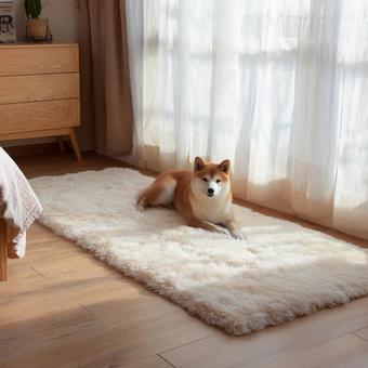 幸せな時間:家族の一員としての犬 幸せな時間:家族の一員としての犬の写真