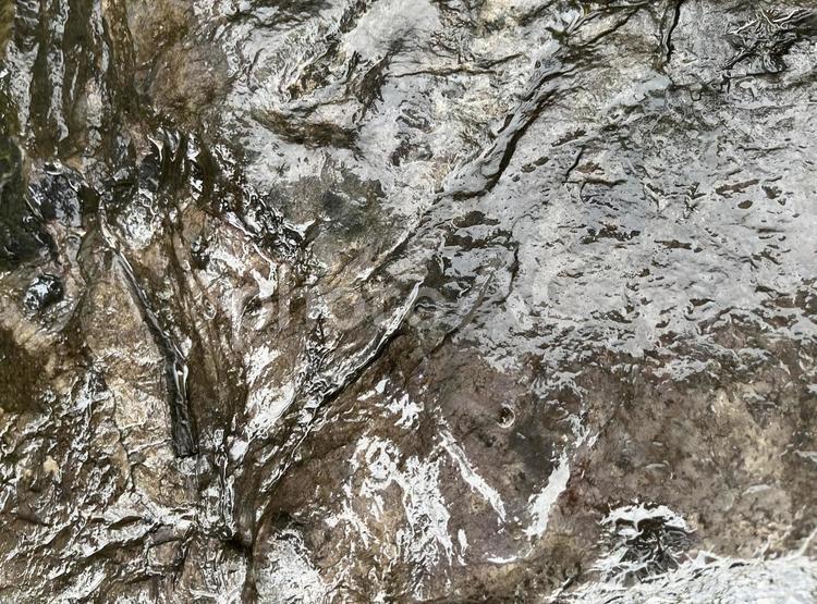 雨に濡れた石のクローズアップ① 石,雨,雨に濡れた石の写真素材