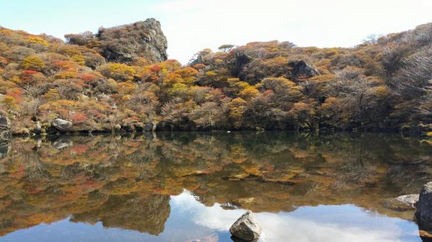 Photo, mountain, autumn, autumn leaves, 