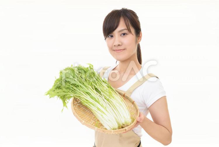 野菜を持つ笑顔の女性 女性,女,野菜の写真素材