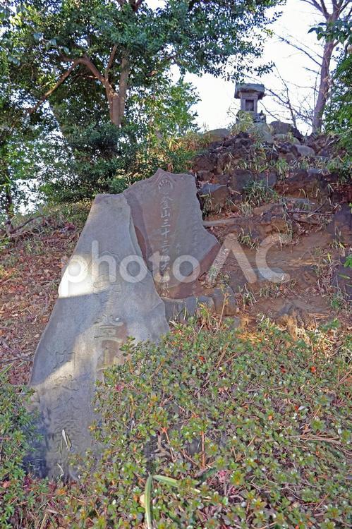 赤塚氷川神社（板橋） 赤塚氷川神社,素戔嗚尊,藤原広継命の写真素材