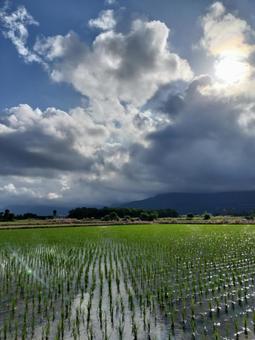 旧豊田移民村 田園風景 旧豊田移民村 田園風景 寿豊郷,花蓮,旧豊田移民村の写真素材