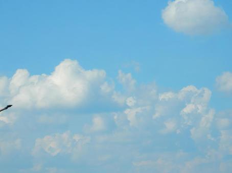 【風景写真】夏空 【風景写真】夏空の写真