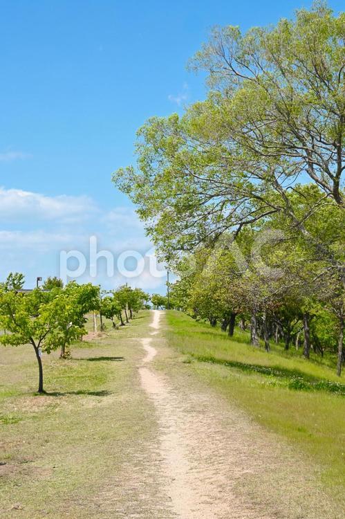岡山・浦安総合公園 岡山,南区,浦安の写真素材