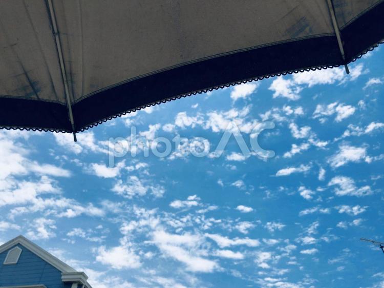 日傘から空を見上げる 日傘,見上げる,空の写真素材
