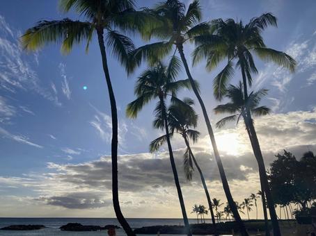 ハワイの水平線Ｃ ハワイ,自然,natureの写真素材