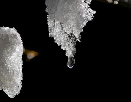雪解けのしずくが落ちる瞬間1 冬,雪,春の写真素材