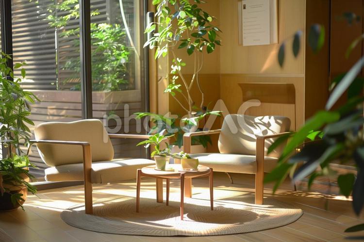 植物に癒されるメンタルケア空間 メンタルケア,癒し,植物の写真素材