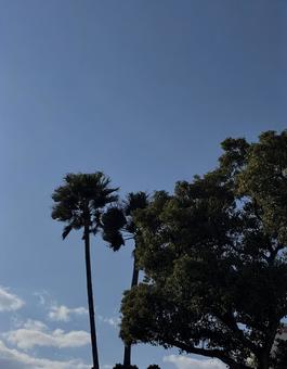 空 空の写真