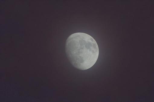 月 Moon 月 Moonの写真