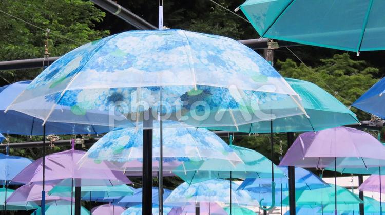 法多山尊永寺梅雨時のパラソルアート パラソルアート,初夏,雨傘の写真素材