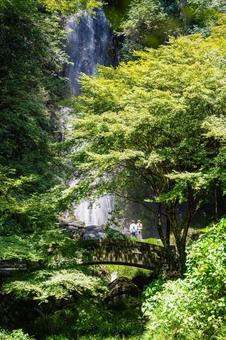 佐賀-【清水の滝】 佐賀,小城市,清水の滝の写真素材